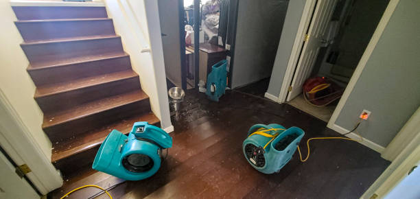 Best Professional water damage repair  in Woodville, TX