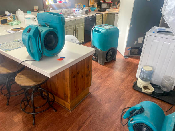 Best Carpet water damage restoration  in Woodville, TX