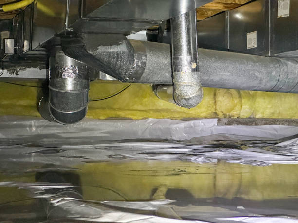 Best Mold removal after water damage  in Woodville, TX