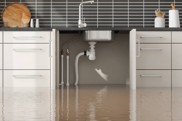 Best Flood restoration services  in Woodville, TX