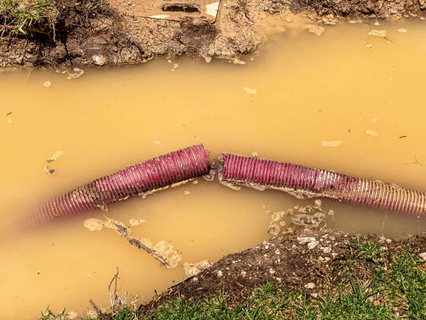 Best Flood restoration services  in Woodville, TX